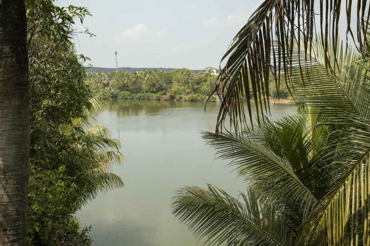 Marcelo Holiday Home Goa Baga Ngoại thất bức ảnh
